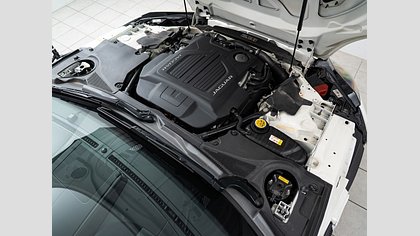 F-Type 15