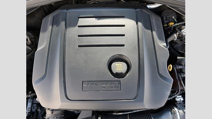 F-Pace 42