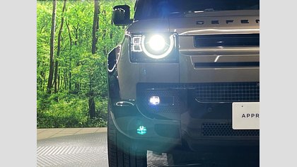 Defender 110 29