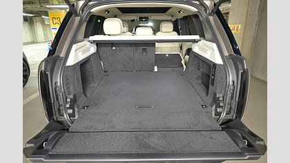 Range Rover 19