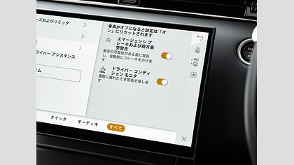 Range Rover Evoque 20