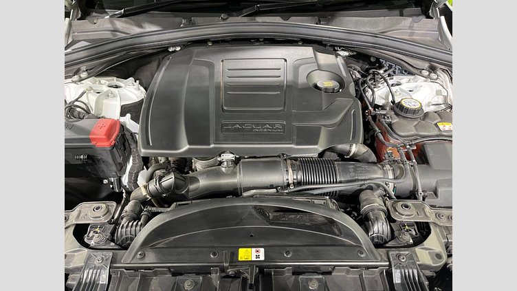 2022 認定中古車 Jaguar F-Pace フジホワイト P250 AWD（オートマチック） R-DYNAMIC BLACK