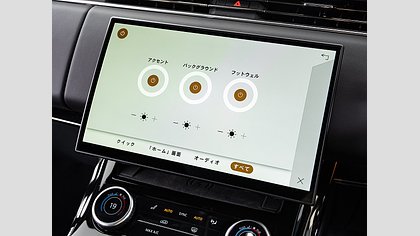 Range Rover Sport 48