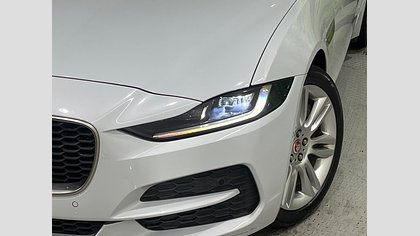 XE 8