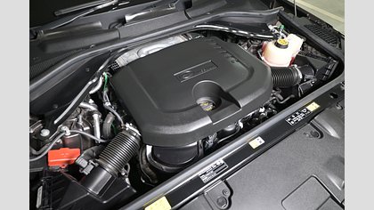 Range Rover 25