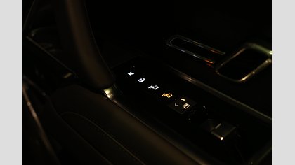 Range Rover 25