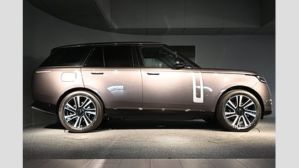 Range Rover 6