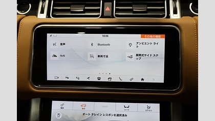 Range Rover 39