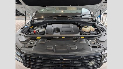 Range Rover Sport 38