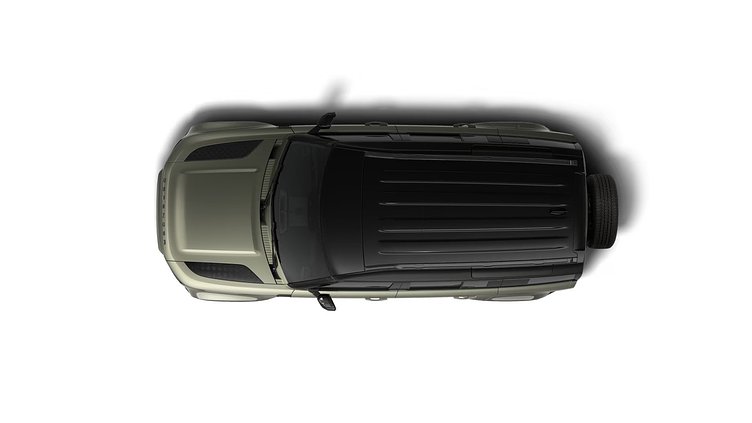 2025 NAUJI AUTOMOBILIAI Land Rover Defender 110 Pangea Green D250 Diesel Mild Hybrid X-Dynamic SE