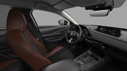 2025 Uus Mazda CX-30 Platinum Quartz 2.5 M Hybrid e-Skyactiv G AT Nagisa (4)