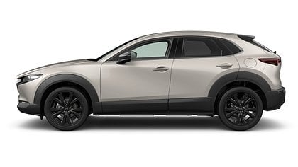 2025 Uus Mazda CX-30 Platinum Quartz 2.5 M Hybrid e-Skyactiv G AT Nagisa (2)