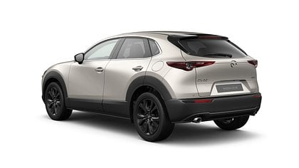 2025 Uus Mazda CX-30 Platinum Quartz 2.5 M Hybrid e-Skyactiv G AT Nagisa (3)