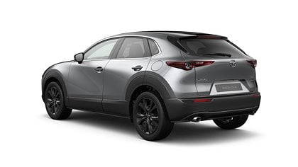 2025 NAUJI AUTOMOBILIAI Mazda CX-30 Machine Gray 2.5 M Hybrid e-Skyactiv G AT Nagisa (3)