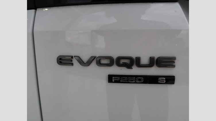 2020 認定中古車 Land Rover Range Rover Evoque フジホワイト P250 R-DYNAMIC S