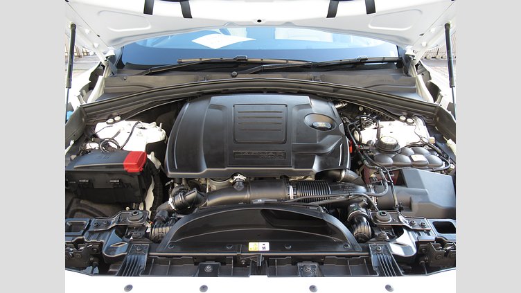 2024 認定中古車 Jaguar F-Pace フジホワイト P250 AWD（オートマチック） R-DYNAMIC SE