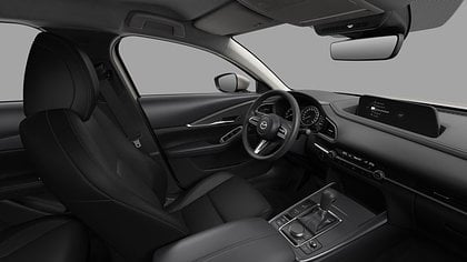 2025 NAUJI AUTOMOBILIAI Mazda CX-30 Platinum Quartz 2.5 M Hybrid e-Skyactiv G AT Centre-line (4)