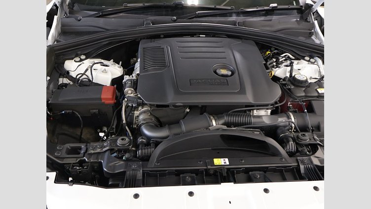 2024 認定中古車 Jaguar F-Pace オストゥーニパールホワイト D204 AWD（オートマチック）MHEV R-DYNAMIC SE