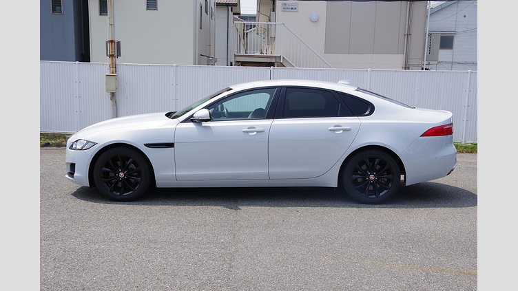 2017 認定中古車 Jaguar XF Yulong White 2.0P FR 2.0P KEI NISHIKORI EDITION