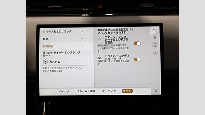 Range Rover Sport 21