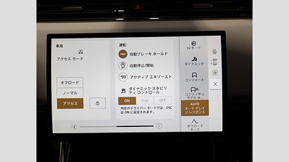 Range Rover Sport 25