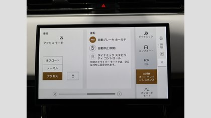 Range Rover Sport 19