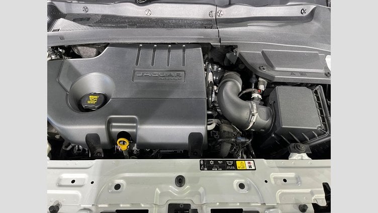 2019 認定中古車 Jaguar E-Pace Yulong White 4WD R-Dynamic SE