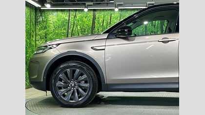 Discovery Sport 29
