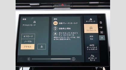 Range Rover Sport 29