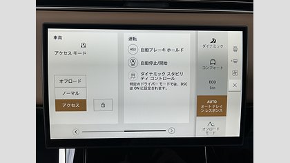 Range Rover Sport 59