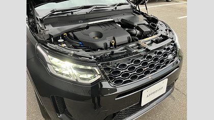 Discovery Sport 29