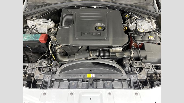 2021 認定中古車 Jaguar F-Pace ユーロンホワイト D200 AWD（オートマチック）MHEV スタンダード