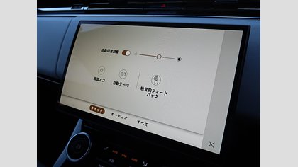 Range Rover Sport 74