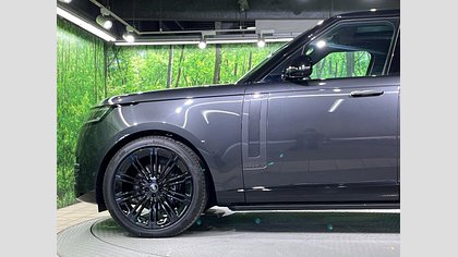Range Rover 25