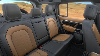 Defender 110 19