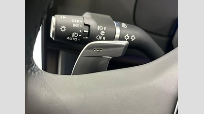 Range Rover 19