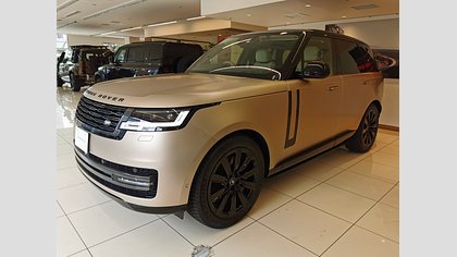 Range Rover 10