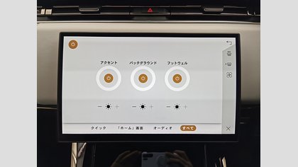 Range Rover Sport 37