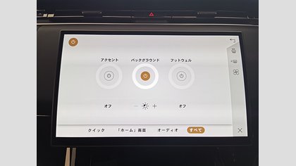 Range Rover Sport 37