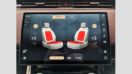 Range Rover Sport 20