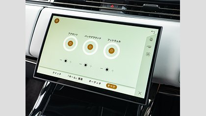 Range Rover Sport 18