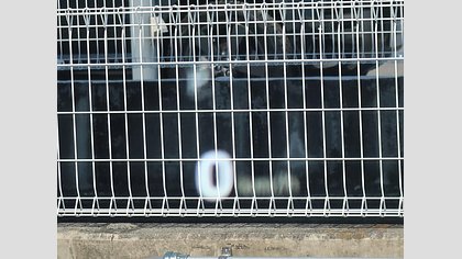 Range Rover Sport 22