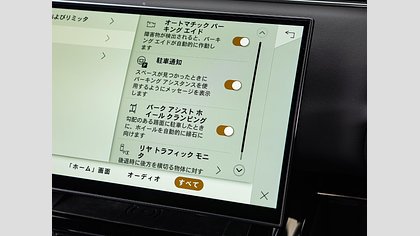 Range Rover Sport 32