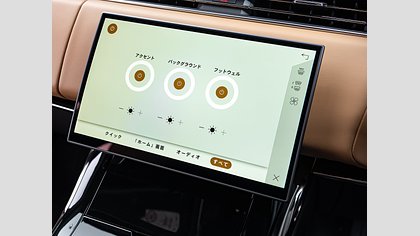 Range Rover Sport 20