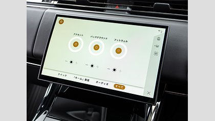 Range Rover Sport 21