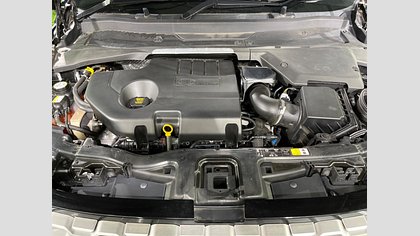 Discovery Sport 53
