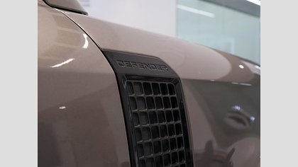 Defender 110 17