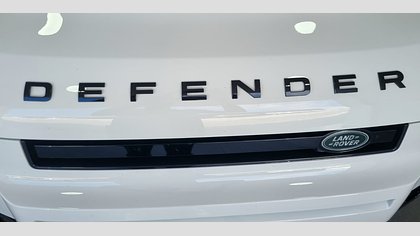 Defender 110 30