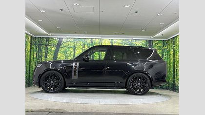 Range Rover 19