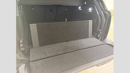 Range Rover 25